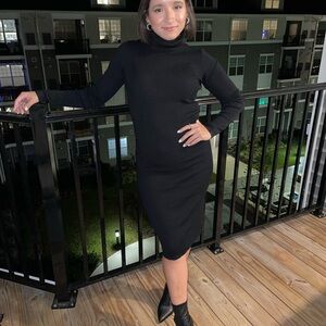 Express sweater dress